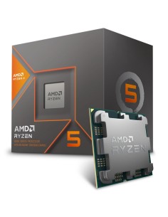 Processore AMD Ryzen 5 8600G 3.80 GHz Box Radeon 760M (AM5)