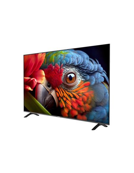 Inno Hit Smart TV 65" 4K LED WEB OS DVB-S/S2 DVB-T-T2-C Netflix Prime Video Youtube [SOLO RITIRO IN SEDE]