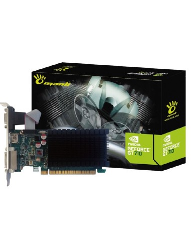 Scheda Video Manli Nvidia GeForce GT 710 2GB GDDR3 LP